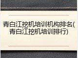 青白江挖机培训机构排名(青白江挖机培训排行)