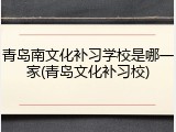青岛南文化补习学校是哪一家(青岛文化补习校)