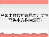 乌鲁木齐数控编程培训学校(乌鲁木齐数控编程)
