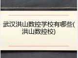 武汉洪山数控学校有哪些(洪山数控校)