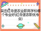 吴忠红寺堡农业职高学校哪个专业好(红寺堡农职优专业)