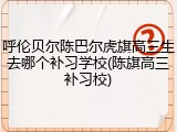 呼伦贝尔陈巴尔虎旗高三生去哪个补习学校(陈旗高三补习校)