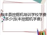 东丰县挖掘机培训学校学费多少(东丰挖掘机学费)