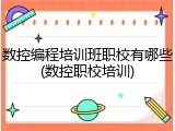 数控编程培训班职校有哪些(数控职校培训)