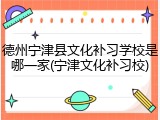 德州宁津县文化补习学校是哪一家(宁津文化补习校)