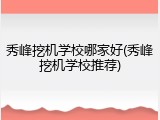秀峰挖机学校哪家好(秀峰挖机学校推荐)