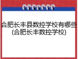 合肥长丰县数控学校有哪些(合肥长丰数控学校)