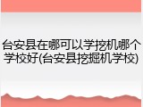 台安县在哪可以学挖机哪个学校好(台安县挖掘机学校)