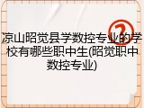 凉山昭觉县学数控专业的学校有哪些职中生(昭觉职中数控专业)