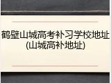鹤壁山城高考补习学校地址(山城高补地址)