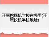 开原挖掘机学校在哪里(开原挖机学校地址)