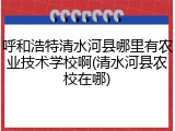 呼和浩特清水河县哪里有农业技术学校啊(清水河县农校在哪)