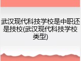 武汉现代科技学校是中职还是技校(武汉现代科技学校类型)