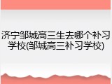济宁邹城高三生去哪个补习学校(邹城高三补习学校)