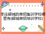 枣庄峄城的单招集训学校哪里有(峄城单招培训学校)