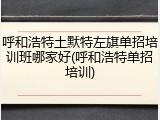 呼和浩特土默特左旗单招培训班哪家好(呼和浩特单招培训)