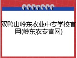 双鸭山岭东农业中专学校官网(岭东农专官网)