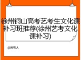 徐州铜山高考艺考生文化课补习班推荐(徐州艺考文化课补习)