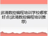 武清数控编程培训学校哪家好点(武清数控编程培训推荐)