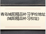 青岛城阳精品补习学校地址(城阳精品补习校址)