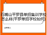 石嘴山平罗县单招集训学校怎么样(平罗单招学校如何)