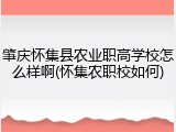 肇庆怀集县农业职高学校怎么样啊(怀集农职校如何)