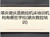 肇庆德庆县数控机床培训机构有哪些学校(德庆数控培训)