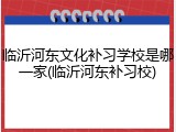 临沂河东文化补习学校是哪一家(临沂河东补习校)