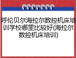 呼伦贝尔海拉尔数控机床培训学校哪里比较好(海拉尔数控机床培训)