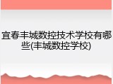 宜春丰城数控技术学校有哪些(丰城数控学校)