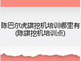 陈巴尔虎旗挖机培训哪里有(陈旗挖机培训点)