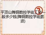 平顶山舞钢数控学徒工资一般多少钱(舞钢数控学徒薪资)