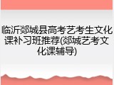 临沂郯城县高考艺考生文化课补习班推荐(郯城艺考文化课辅导)
