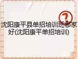 沈阳康平县单招培训班哪家好(沈阳康平单招培训)