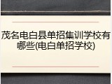 茂名电白县单招集训学校有哪些(电白单招学校)