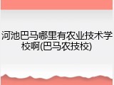 河池巴马哪里有农业技术学校啊(巴马农技校)