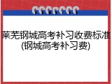 莱芜钢城高考补习收费标准(钢城高考补习费)