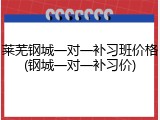 莱芜钢城一对一补习班价格(钢城一对一补习价)