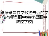 孝感孝昌县学数控专业的学校有哪些职中生(孝昌职中数控学校)