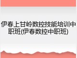 伊春上甘岭数控技能培训中职班(伊春数控中职班)