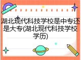 湖北现代科技学校是中专还是大专(湖北现代科技学校学历)