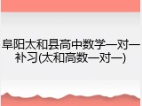阜阳太和县高中数学一对一补习(太和高数一对一)