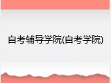 自考辅导学院(自考学院)