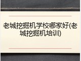 老城挖掘机学校哪家好(老城挖掘机培训)