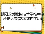 朝阳龙城数控技术学校中专还是大专(龙城数控学历)