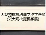 大观挖掘机培训学校学费多少(大观挖掘机学费)