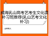 威海乳山高考艺考生文化课补习班推荐(乳山艺考文化补习)