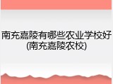 南充嘉陵有哪些农业学校好(南充嘉陵农校)