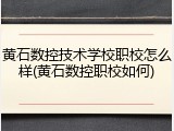 黄石数控技术学校职校怎么样(黄石数控职校如何)