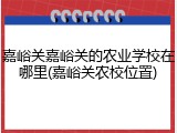 嘉峪关嘉峪关的农业学校在哪里(嘉峪关农校位置)